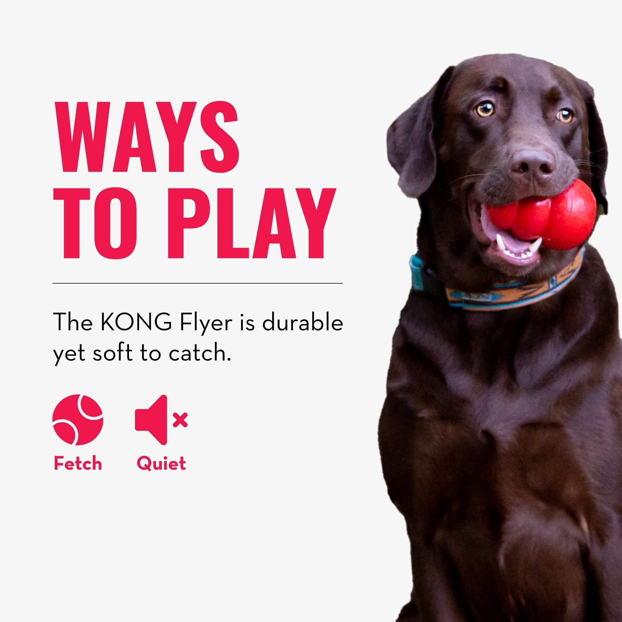 KONG Flyer utilisé en extérieur pour activité physique régulière.
