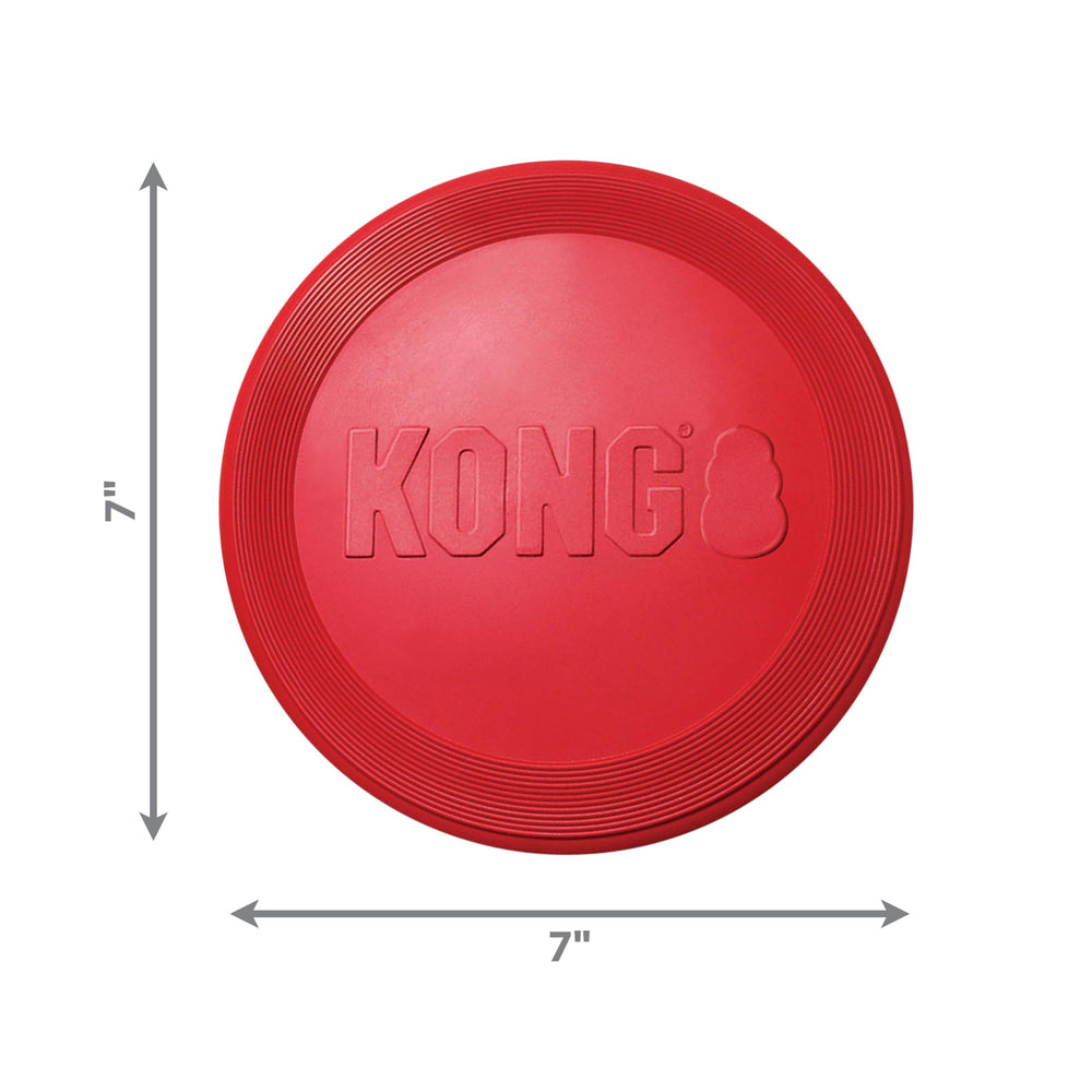 KONG Flyer jouet de chasse pour petits chiens, pratique et ludique.