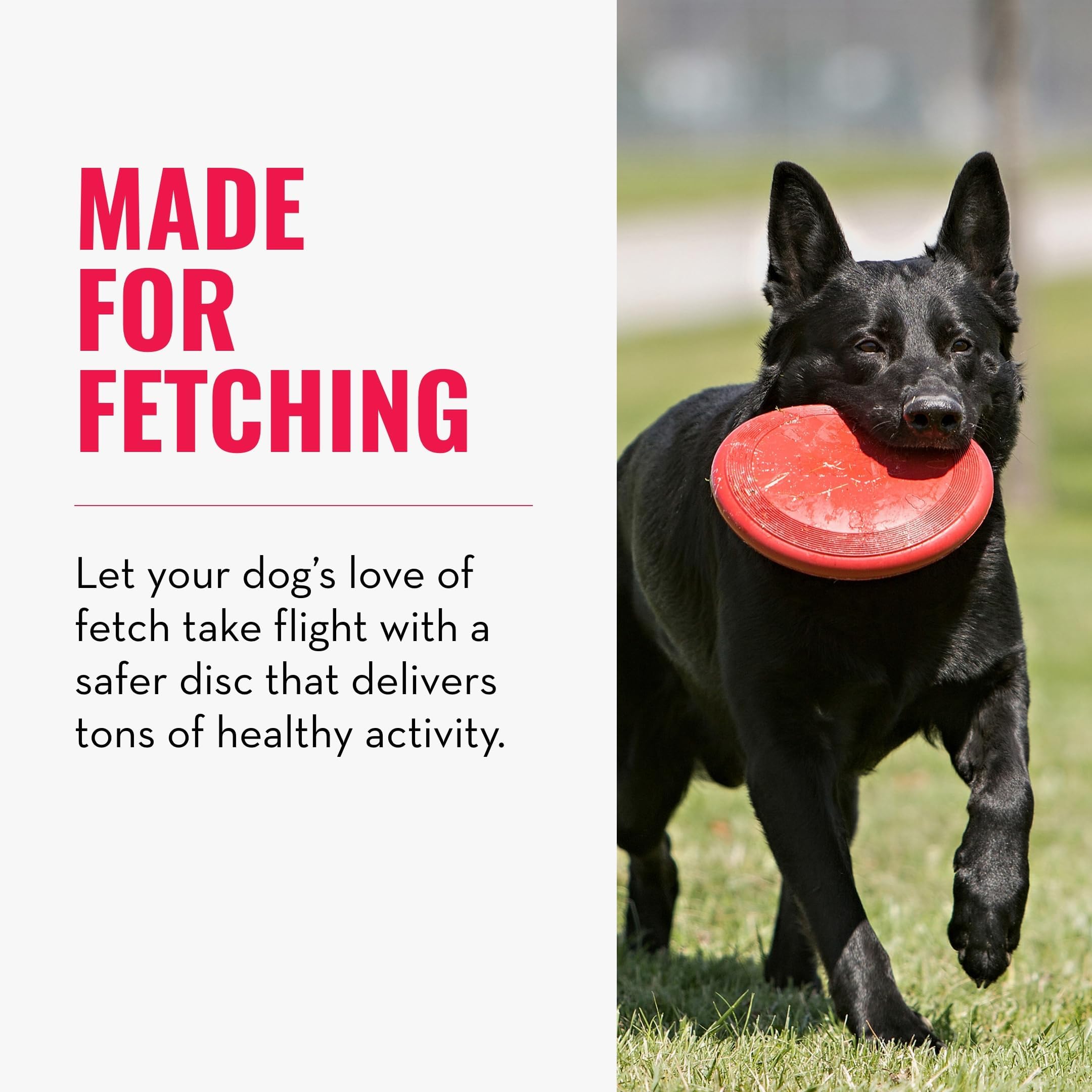KONG Flyer rebond dynamique pour surprendre et divertir votre chien.