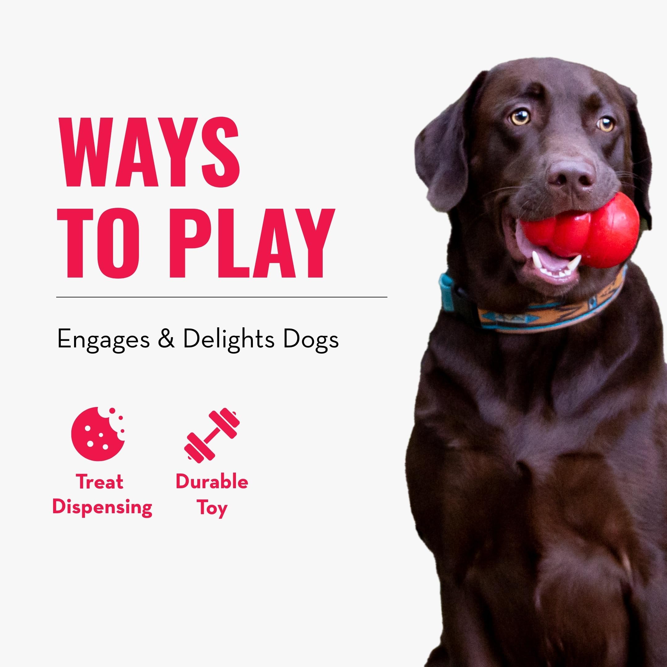 KONG Genius Mike – défi personnalisable pour chiens de tout âge.