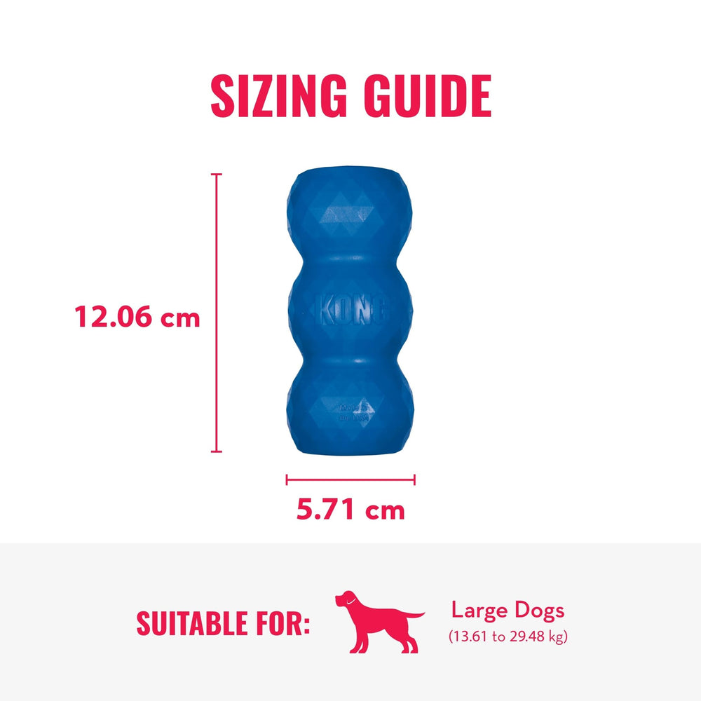 KONG Genius Mike – jouet puzzle robuste pour dents et gencives.