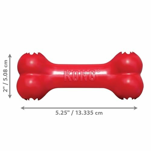 KONG Goodie Bone — chien en action, récompense et jeu interactif.
