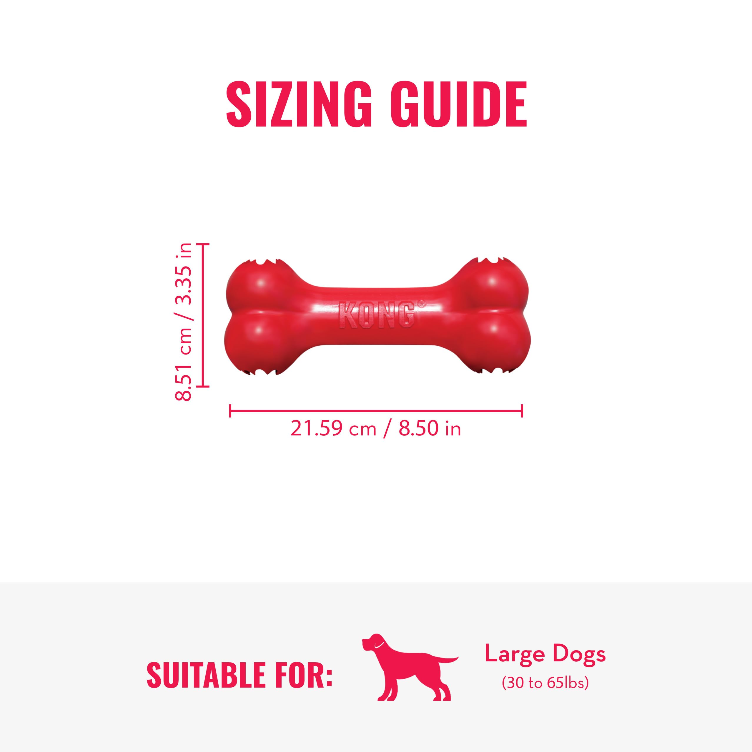 KONG Goodie Bone caoutchouc durable respectueux des dents des chiens.