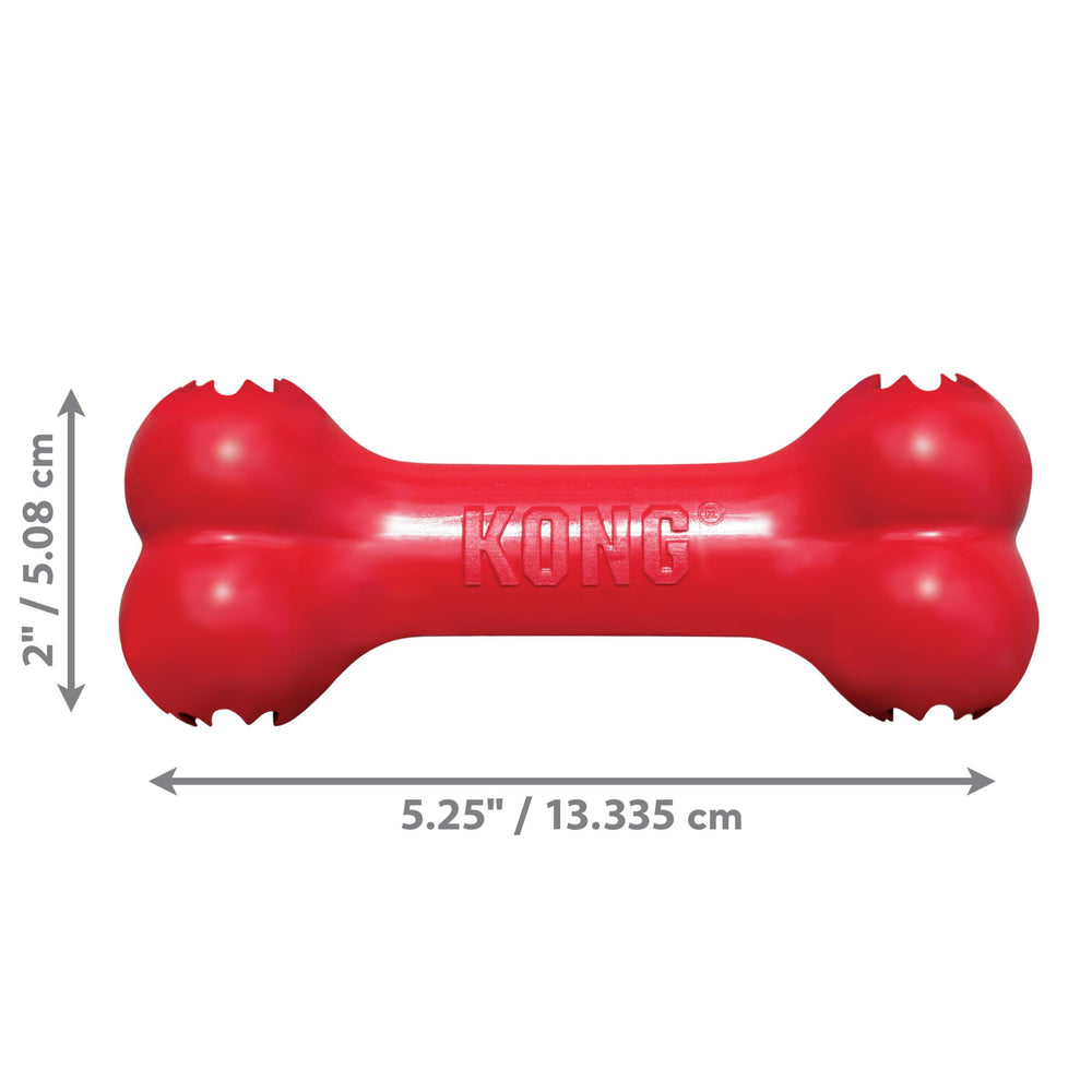 Jouet KONG Goodie Bone durable pour petites mâchoires.