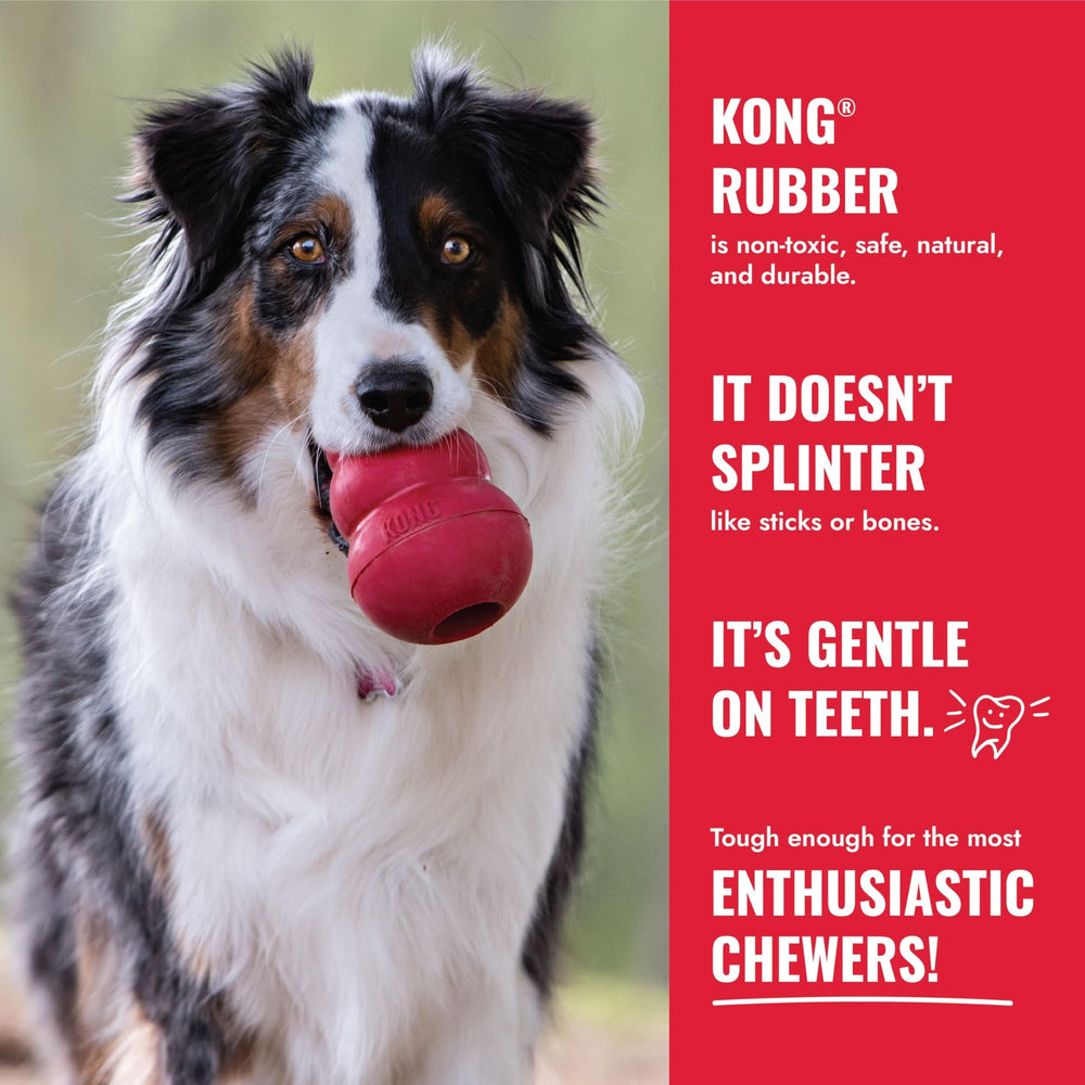 Jouet interactif KONG Goodie Bone rempli de friandises.
