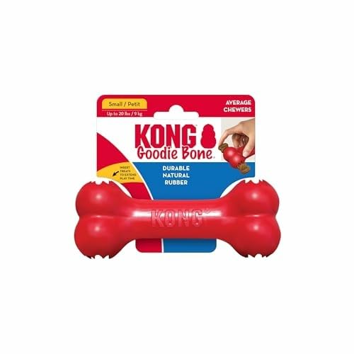 KONG Goodie Bone — gros plan sur le système de préhension, stimulation mentale.