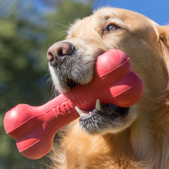KONG Goodie Bone remplissage possible avec friandises Easy Treat.