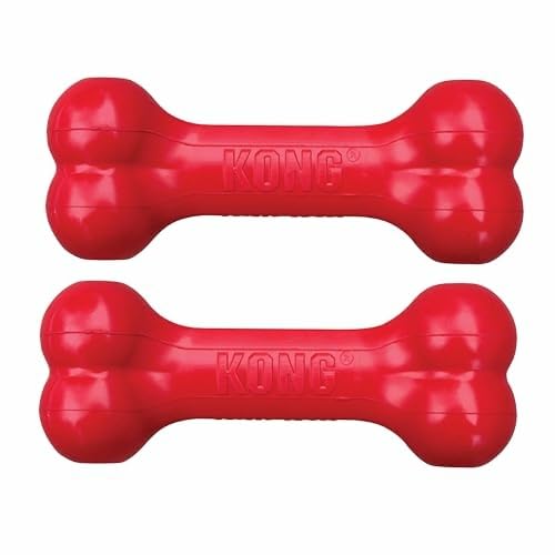 KONG Goodie Bone — vue générale rouge, jouet durable pour petits chiens.