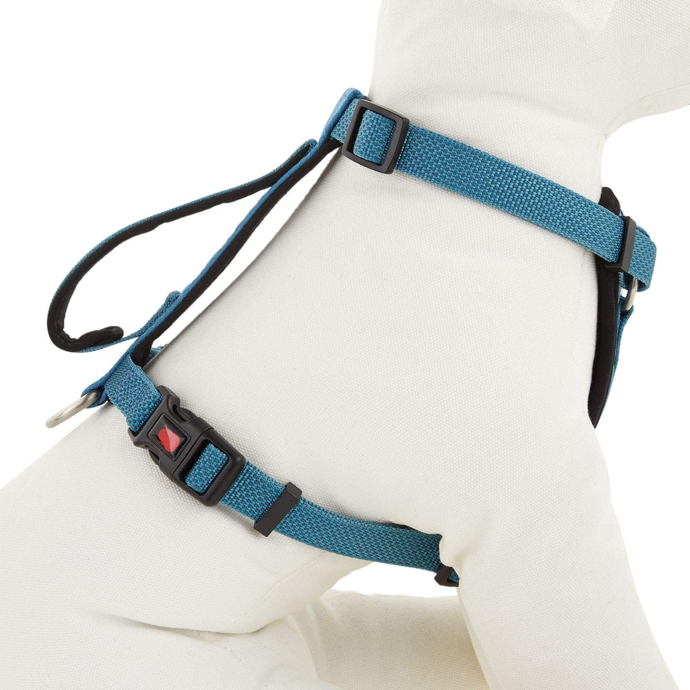 Harnais Kong Comfort rembourre bleu petit pour un confort quotidien.