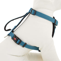 Harnais Kong Comfort rembourre bleu petit pour un confort quotidien.