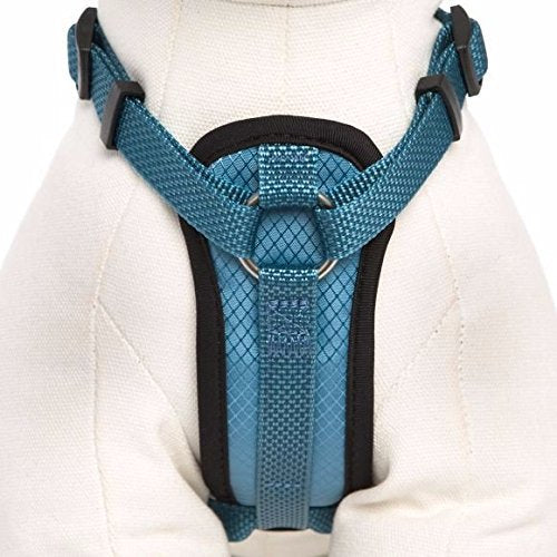 Rembourrage doux visible sur Kong Comfort, idéal pour chiens sensibles.