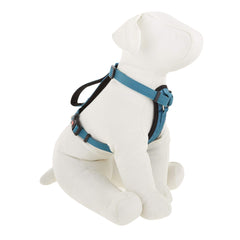 Kong Comfort, tour de poitrine 40-56 cm pour un ajustement précis.