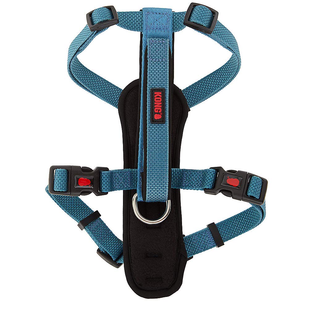 Usage quotidien avec le harnais Kong Comfort bleu pour promenades et jeux.
