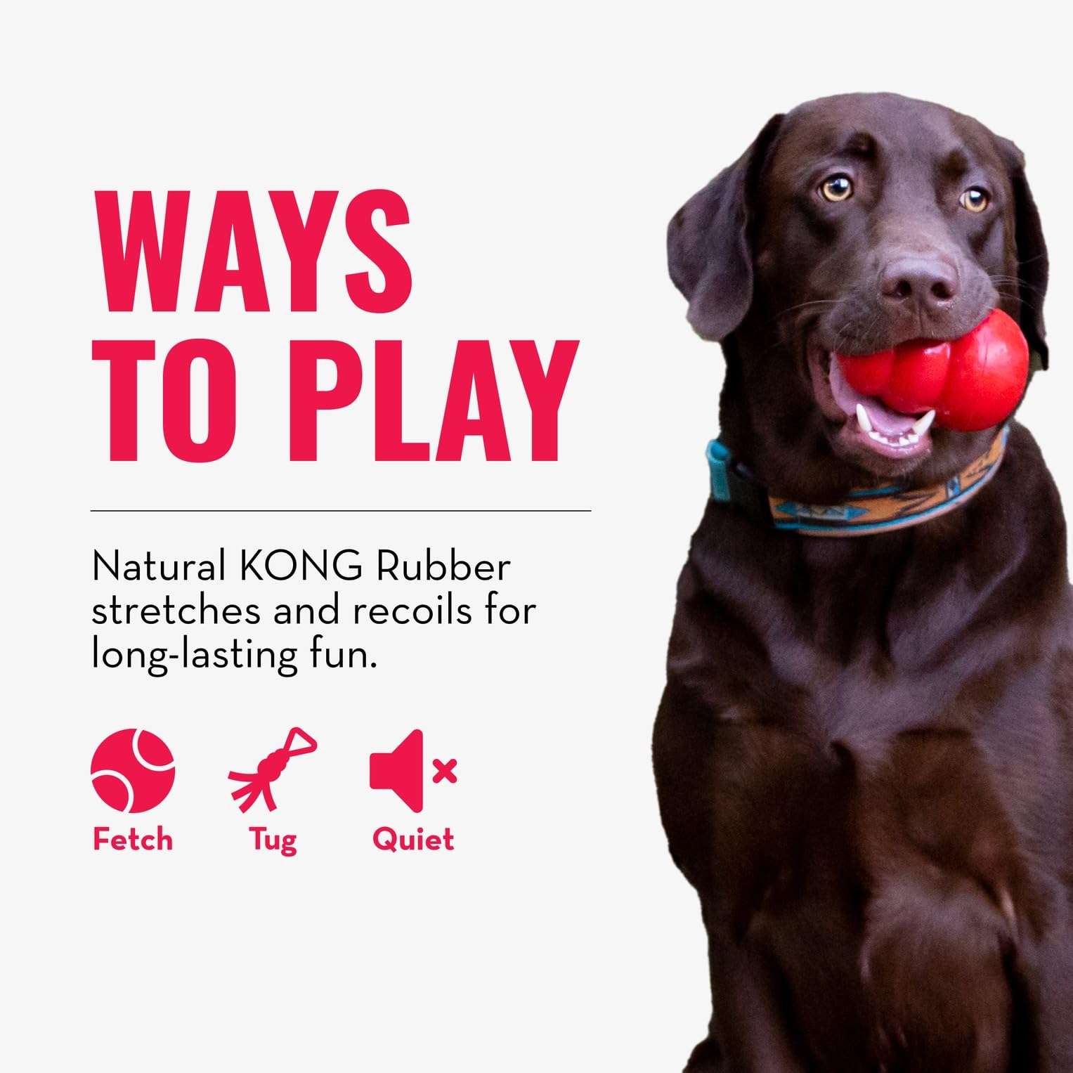 Jouet KONG de traction pour chien moyen/grand – idéal tir et jeu.