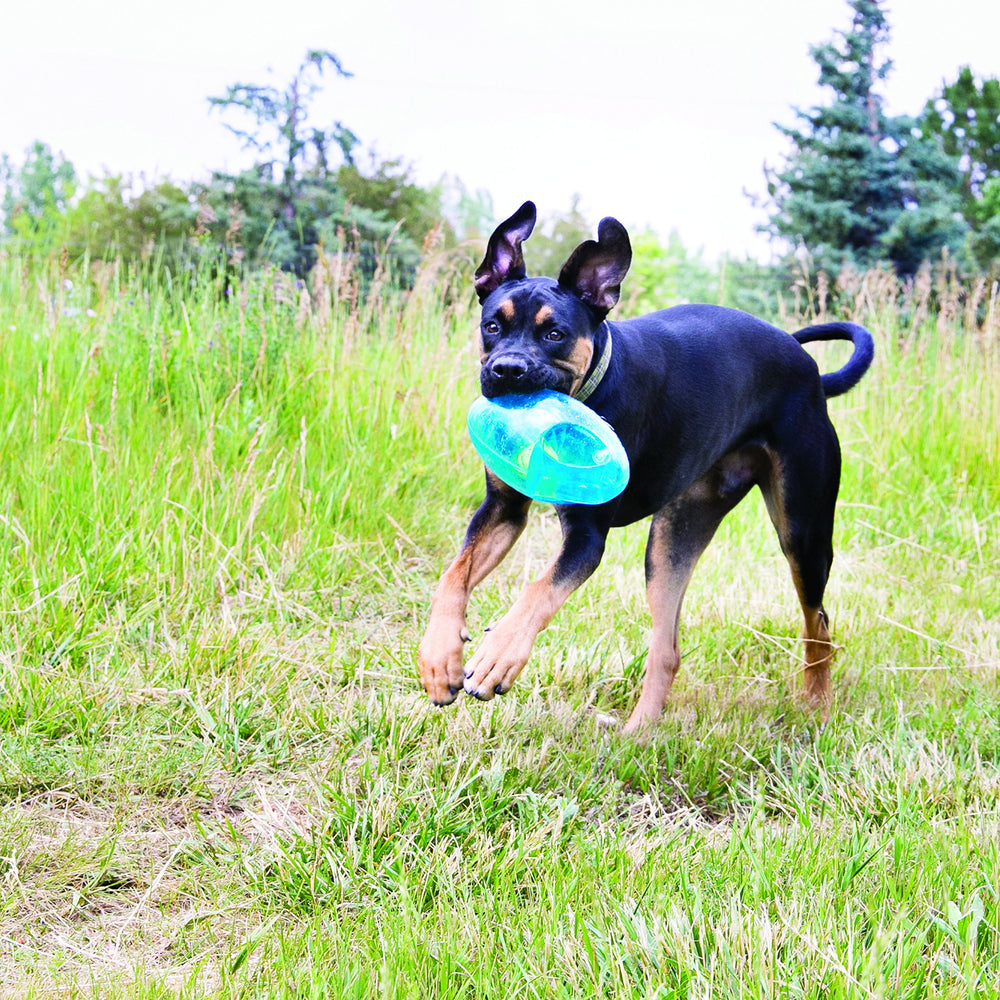 KONG Jumbler Football sifflet-interne pour stimuler le jeu et l'excitation.