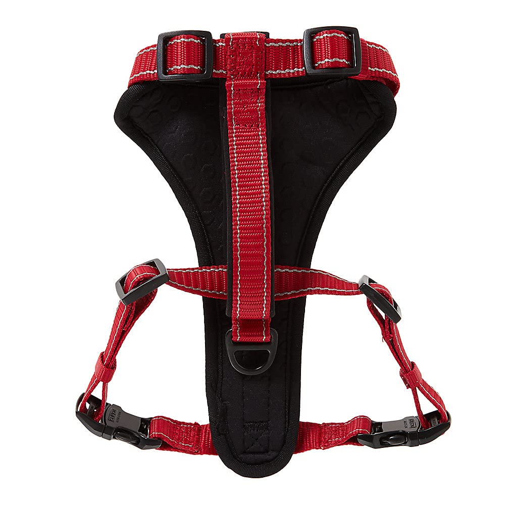 Attache D-ring avant et arrière sur le harnais KONG Max pour une connexion fiable et polyvalente.