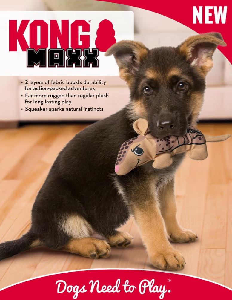 KONG Maxx Ballistic Rhinocéros — conception robuste pour morsures et tirages.