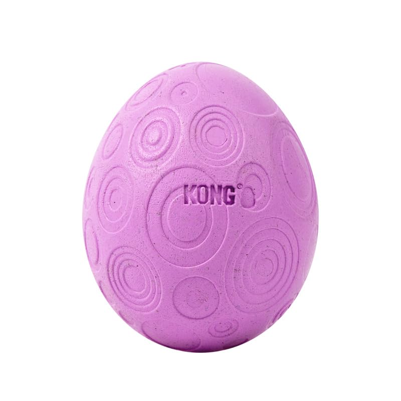 KONG Catnip Œuf Durable : conçu pour des sessions robustes et prolongées.
