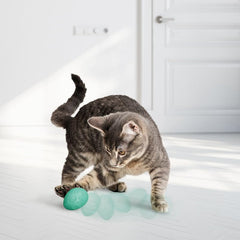 KONG Catnip Œuf Roulant : divertissement continu et récompense à chaque coup.