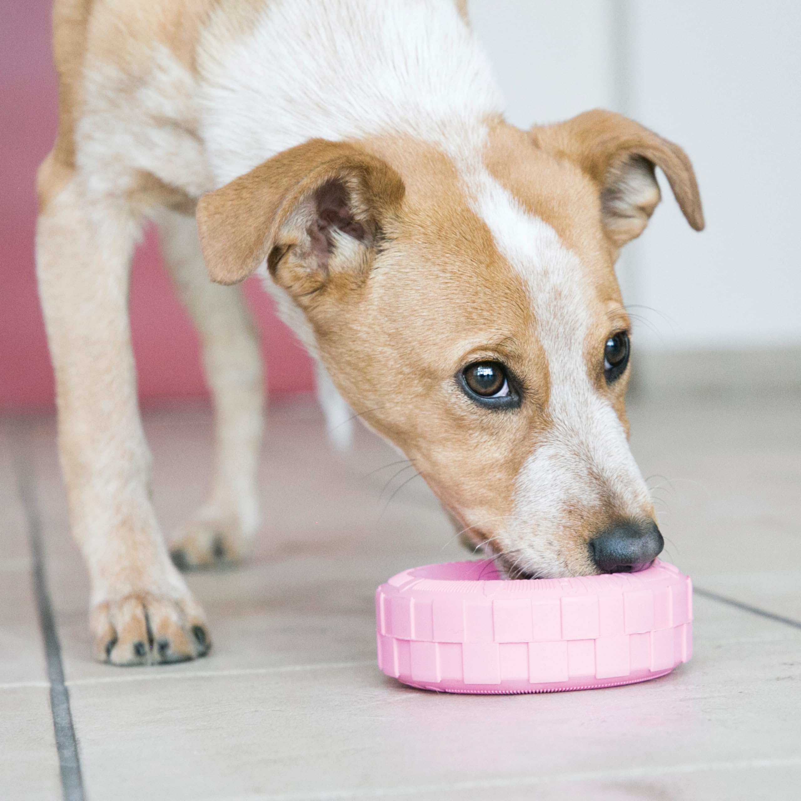KONG Pneus chiots, remplissable de friandises pour stimuler l'attention.
