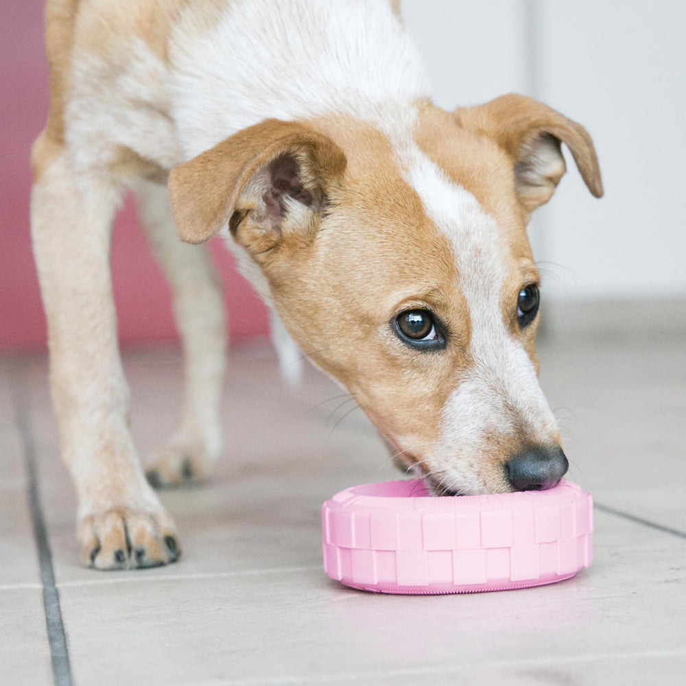 KONG Pneus chiots, remplissable de friandises pour stimuler l'attention.