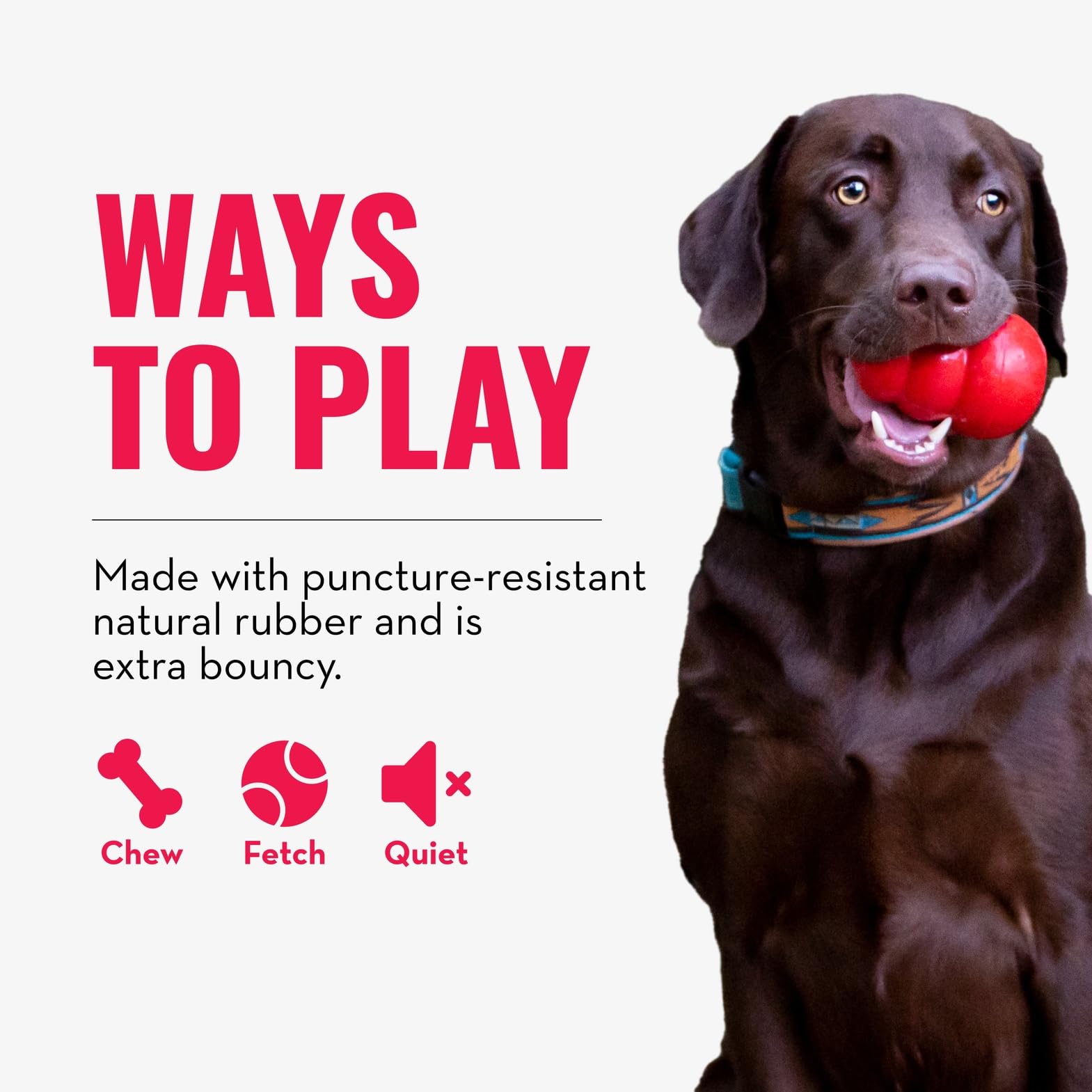 Balle KONG: garantie de satisfaction et durabilité pour chiens actifs.