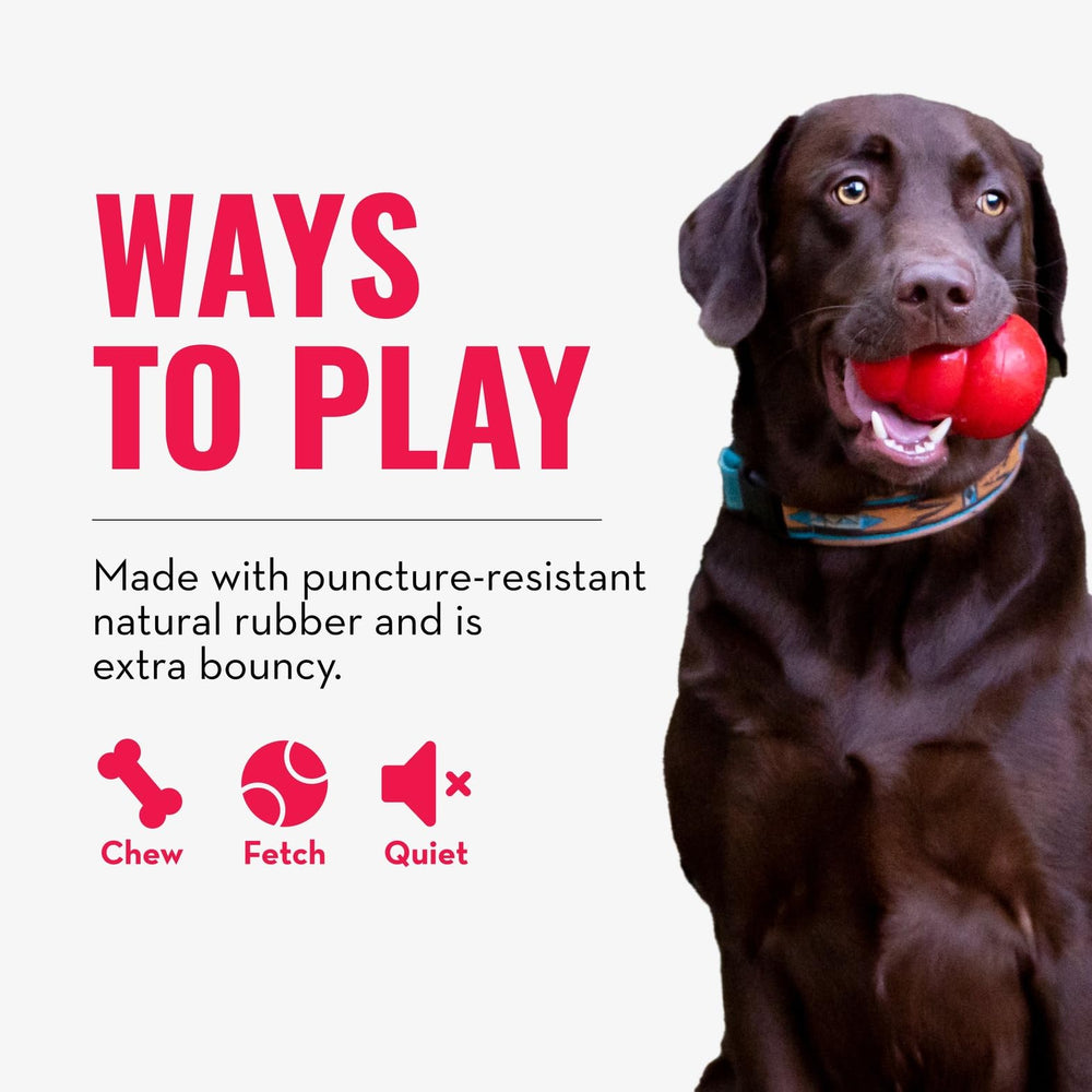 Balle KONG: garantie de satisfaction et durabilité pour chiens actifs.