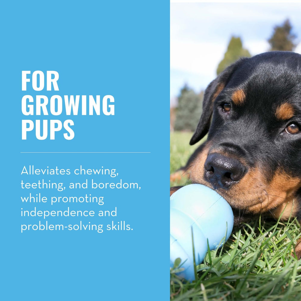 KONG Puppy Binkie forme pacificateur, parfaite pour calmer les chiots mordeurs