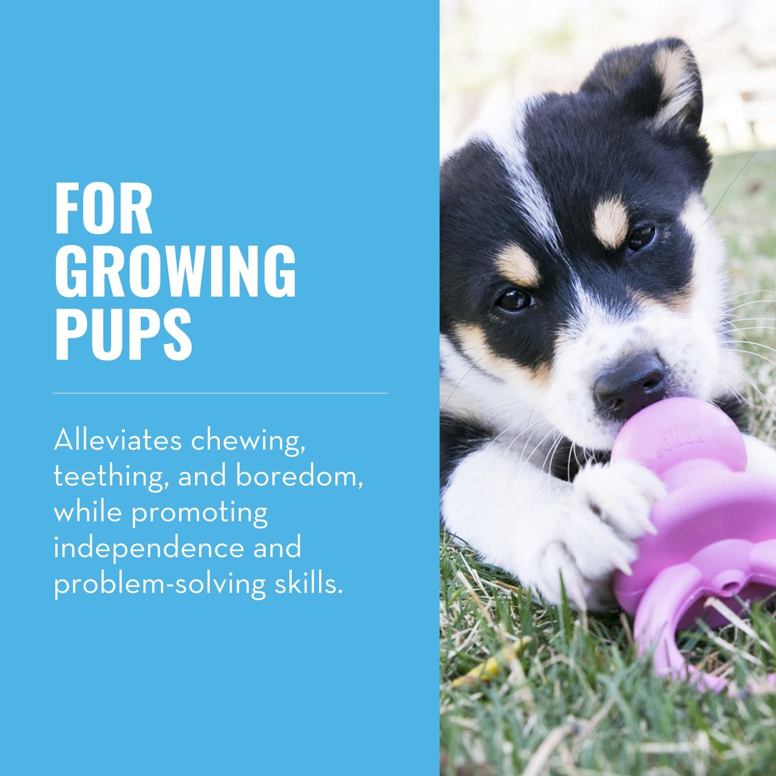 KONG Puppy Binkie rose, design mordillant stimulant l’autonomie des chiots.