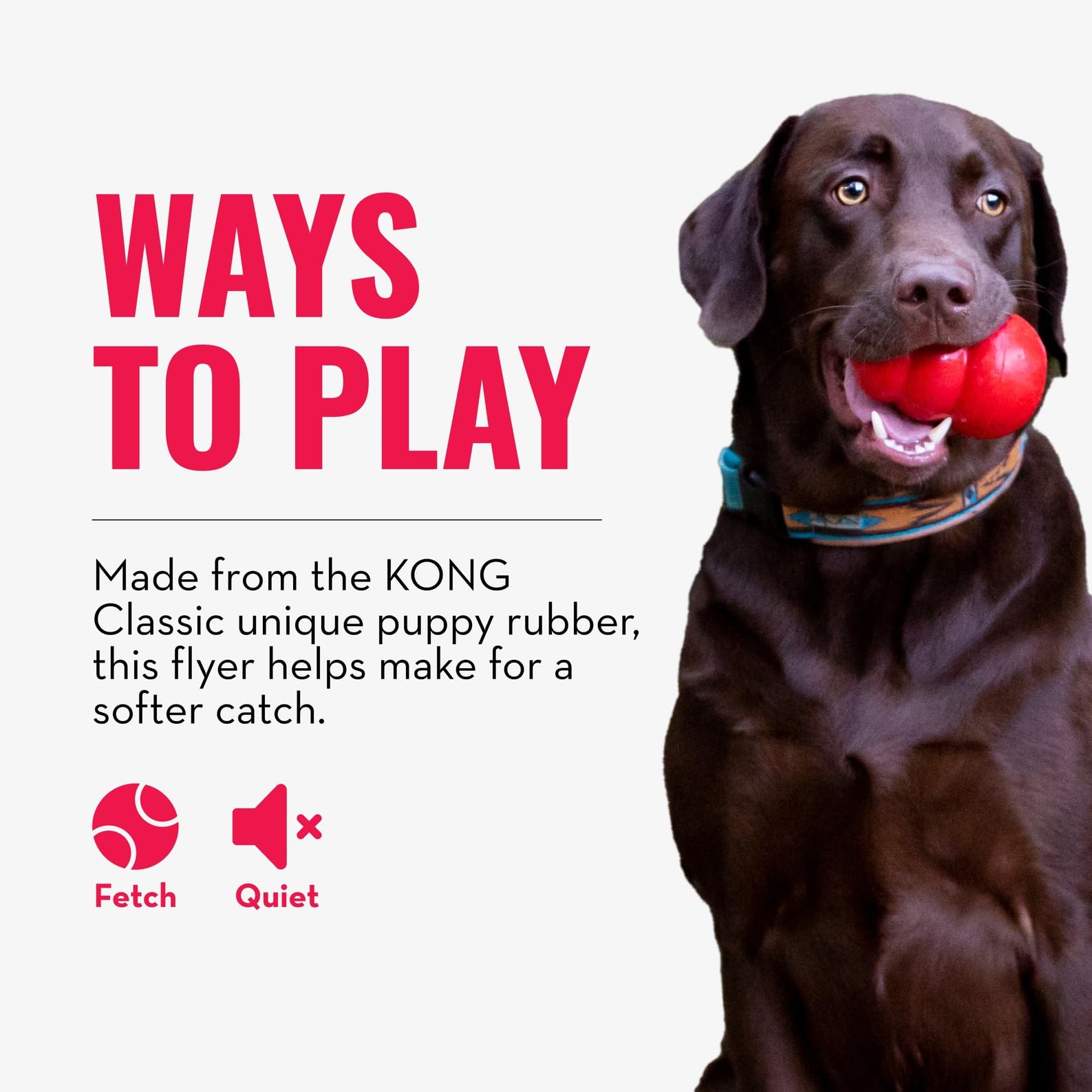 Couleur aléatoire du KONG Puppy Flyer lors de la réception