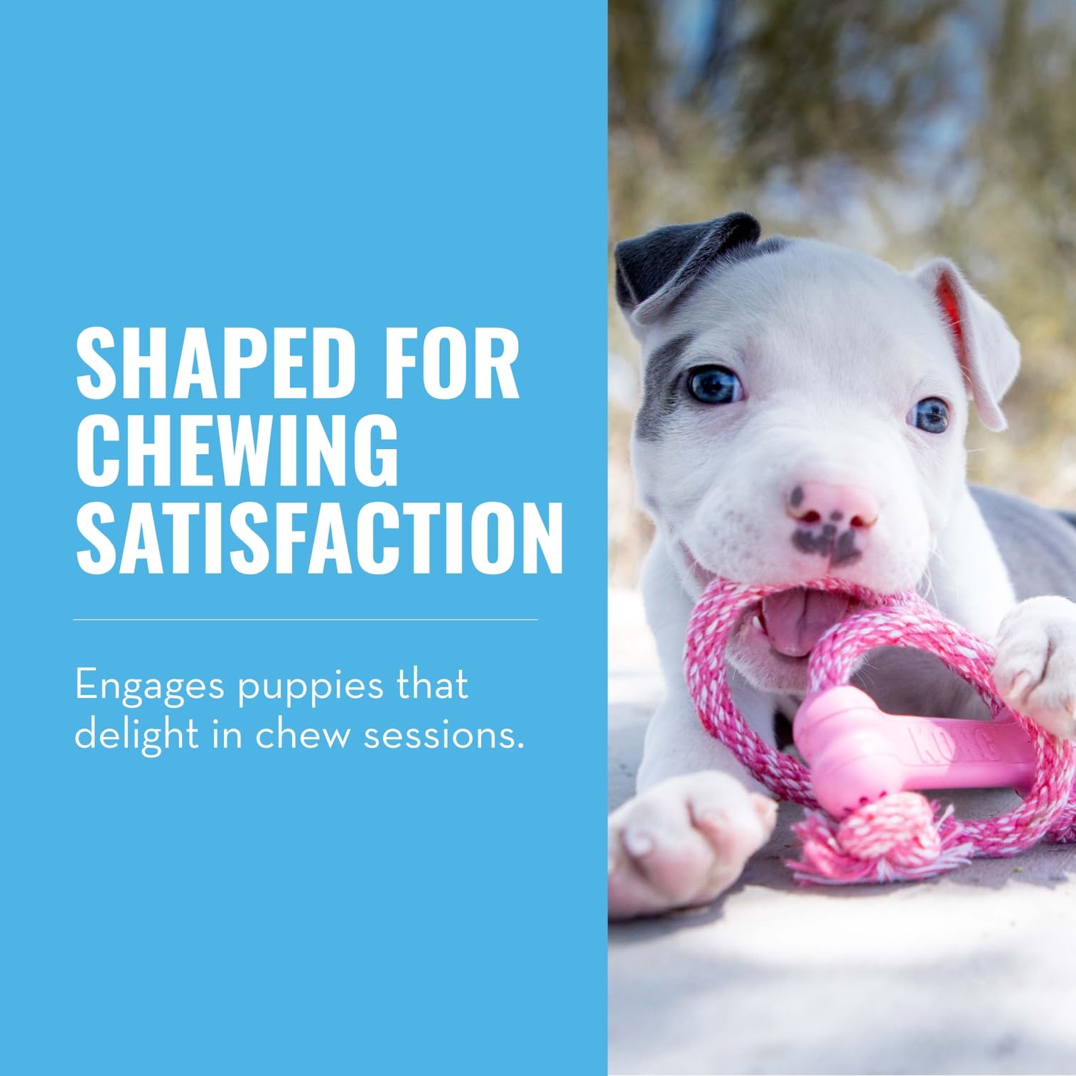 KONG Puppy Goodie Bone rose avec corde, parfait pour des sessions de mastication.