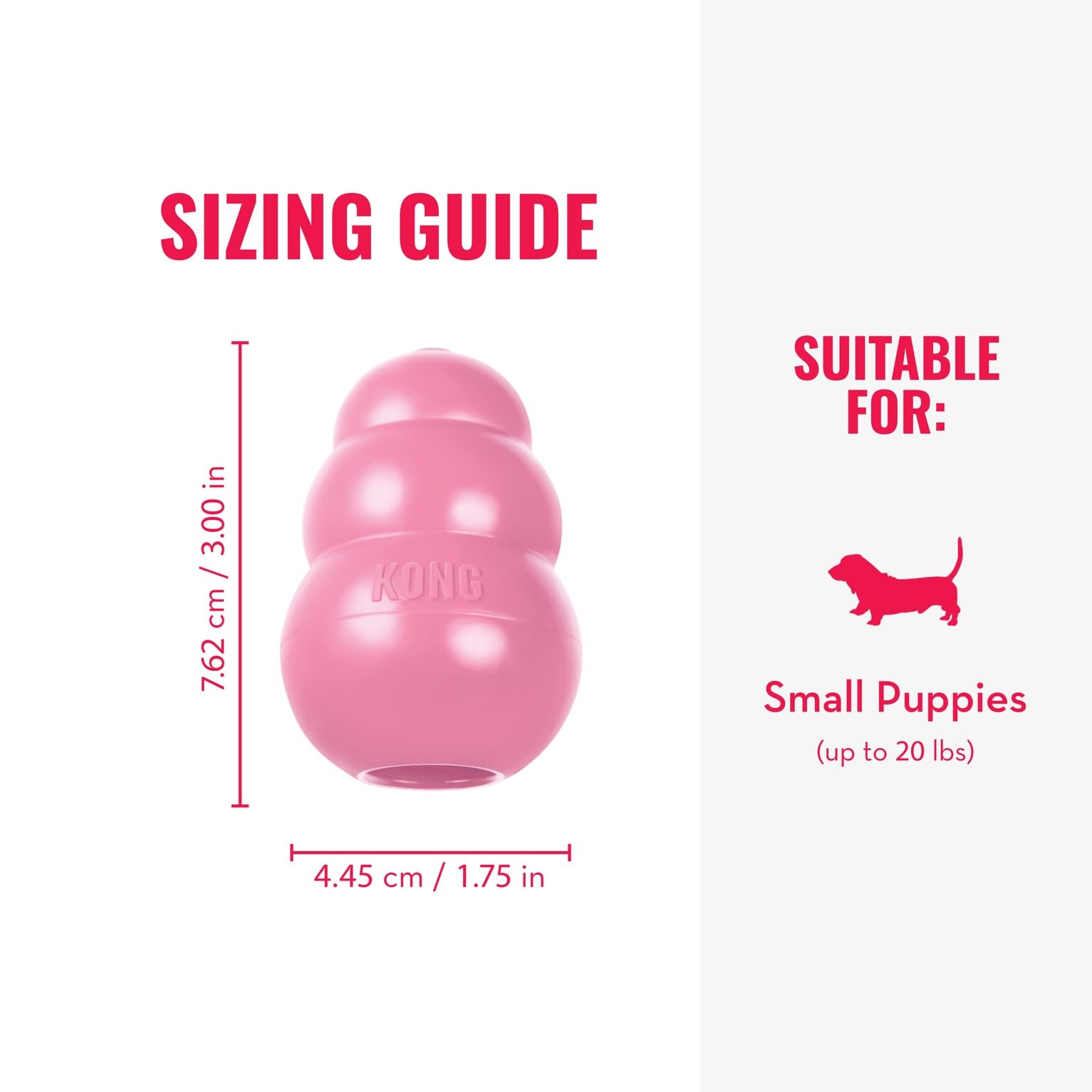 KONG Puppy en action rebondissant, parfait pour les jeux de rapport.