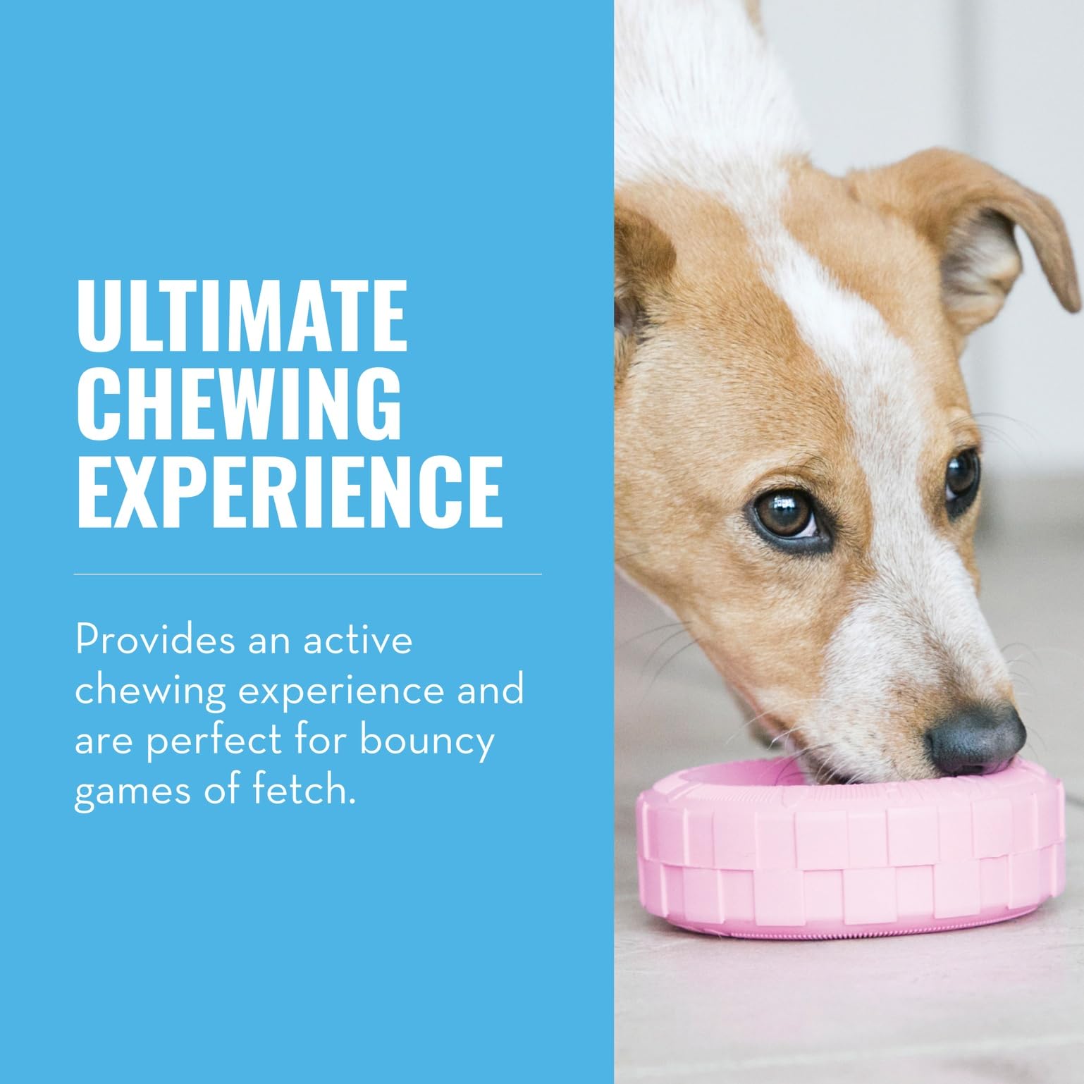 KONG Puppy Tires piste interieure remplissable; divertissement cerebrale avec friandises.