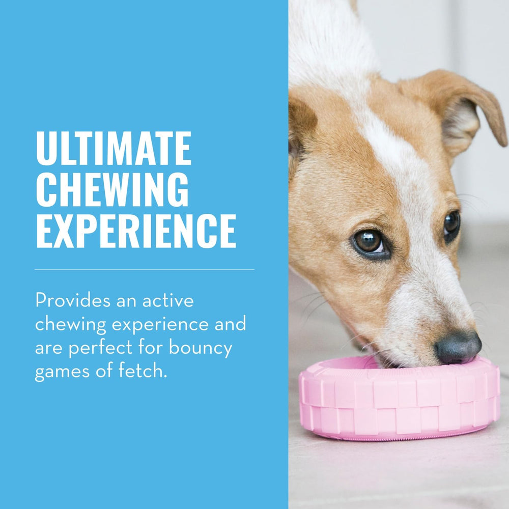 KONG Puppy Tires piste interieure remplissable; divertissement cerebrale avec friandises.