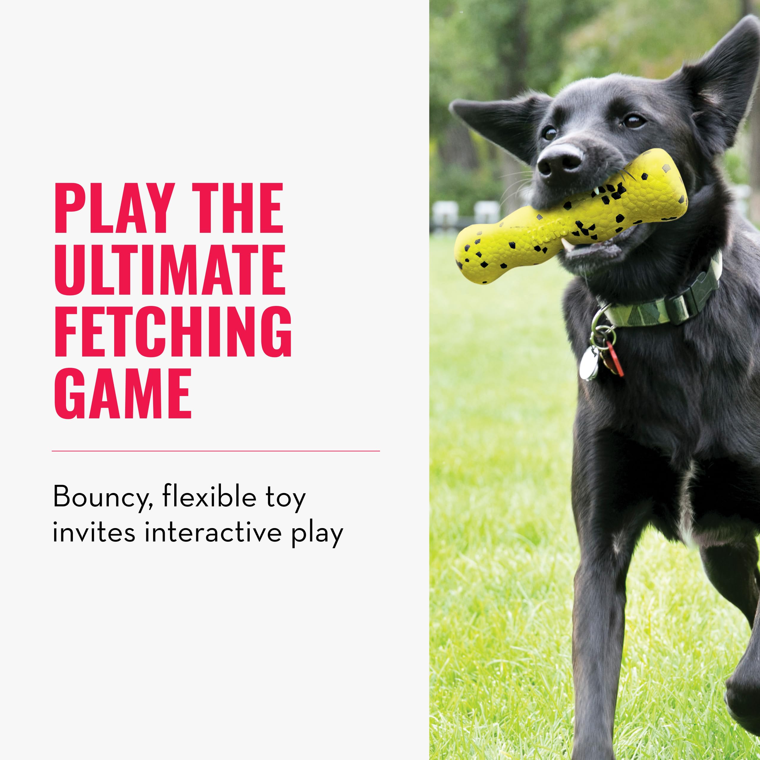 KONG Reflex Stick Md — jouet flexible qui encourage l’interaction.