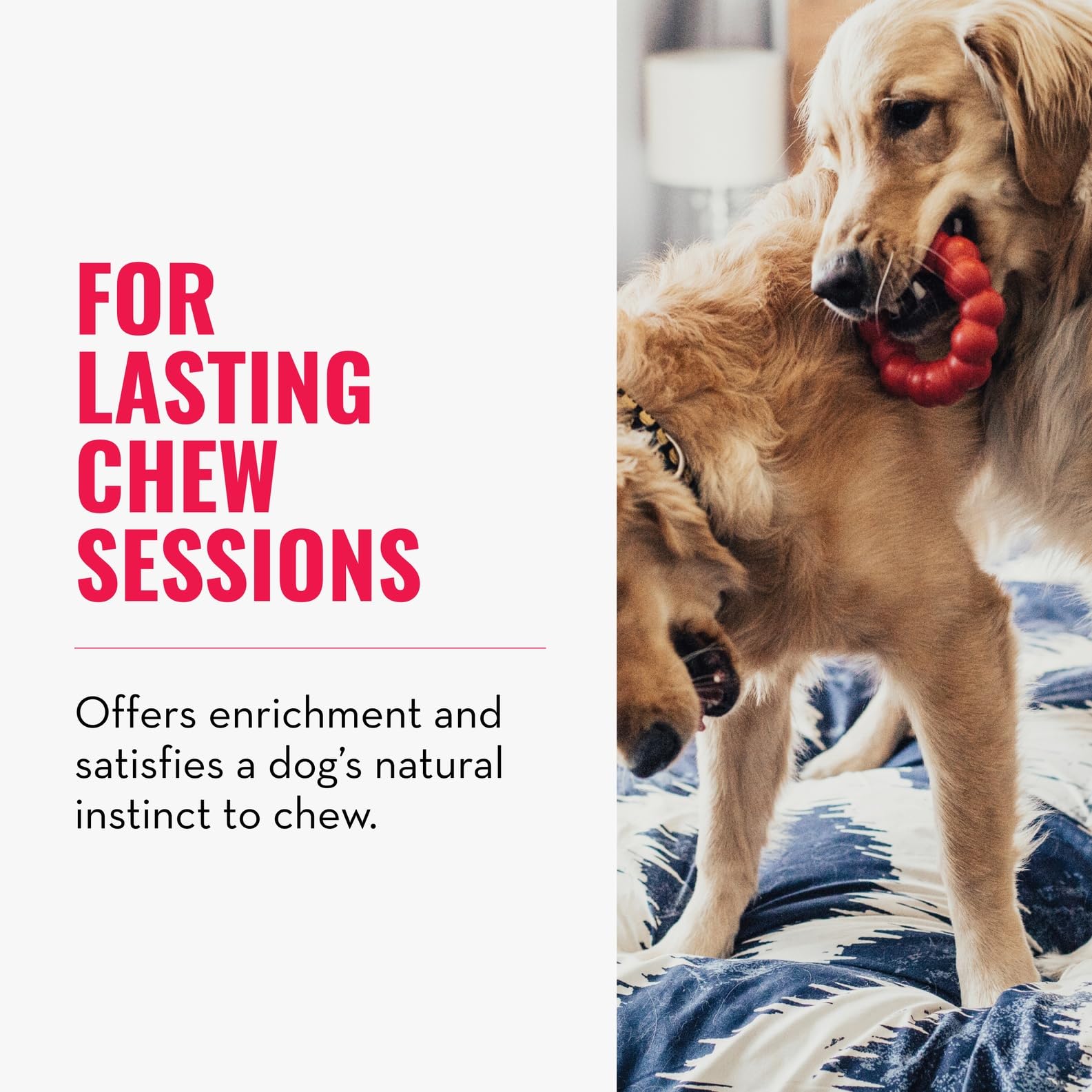 KONG Ring divertissement-chien: expérience tactile durable pour occuper votre animal.