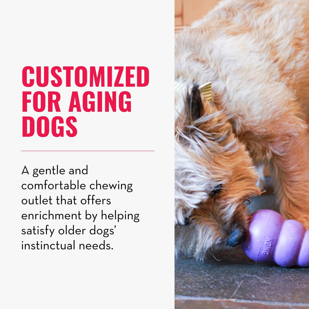 Jouet KONG Senior durable pour chien moyen, sessions de jeu prolongées.