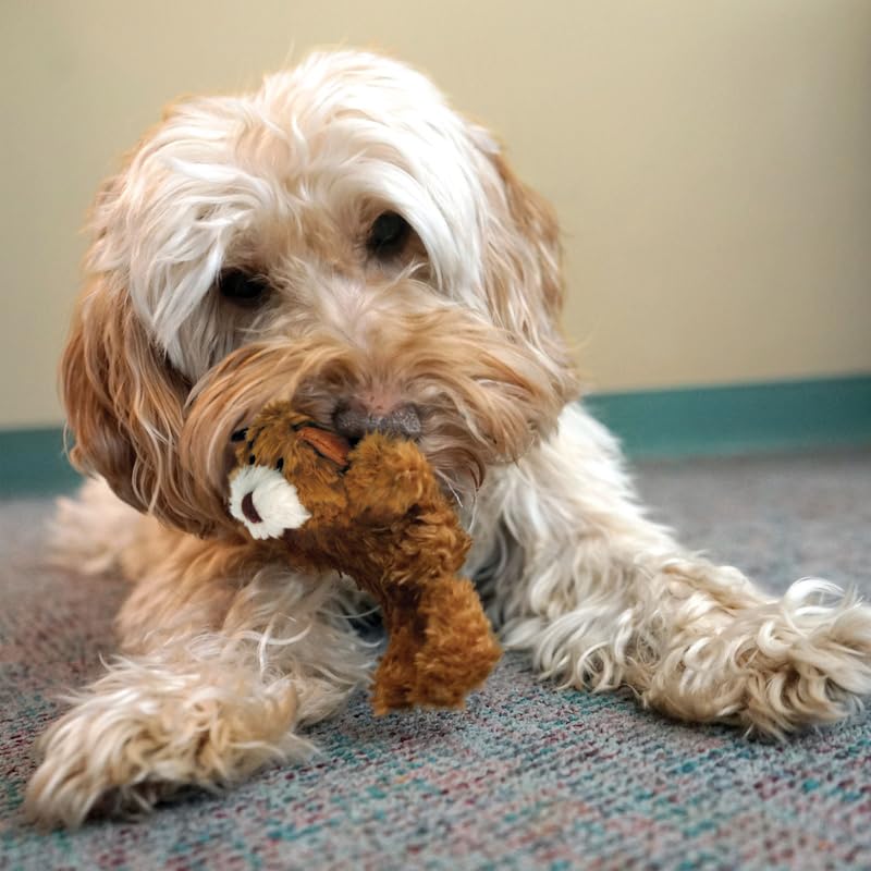KONG ours avec sifflet amovible, entretien facile.