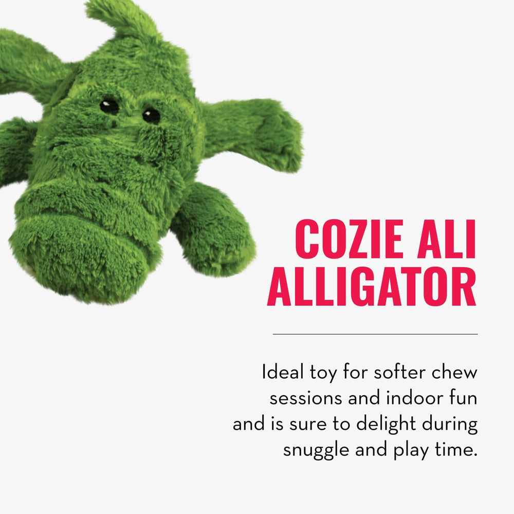 KONG SqueakAir balles, matériau tennis doux pour dents sensibles.