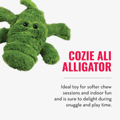KONG SqueakAir balles, matériau tennis doux pour dents sensibles.