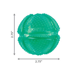 KONG Squeezz jouet remplissable pâte cacahuète pour prolonger le jeu et récompenser le chien.