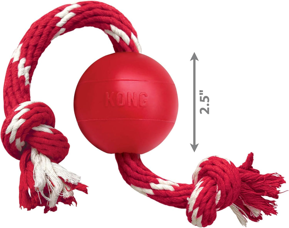 Utilisation active avec corde, jeu de tir pour petit chien, sécurité et stimulation.