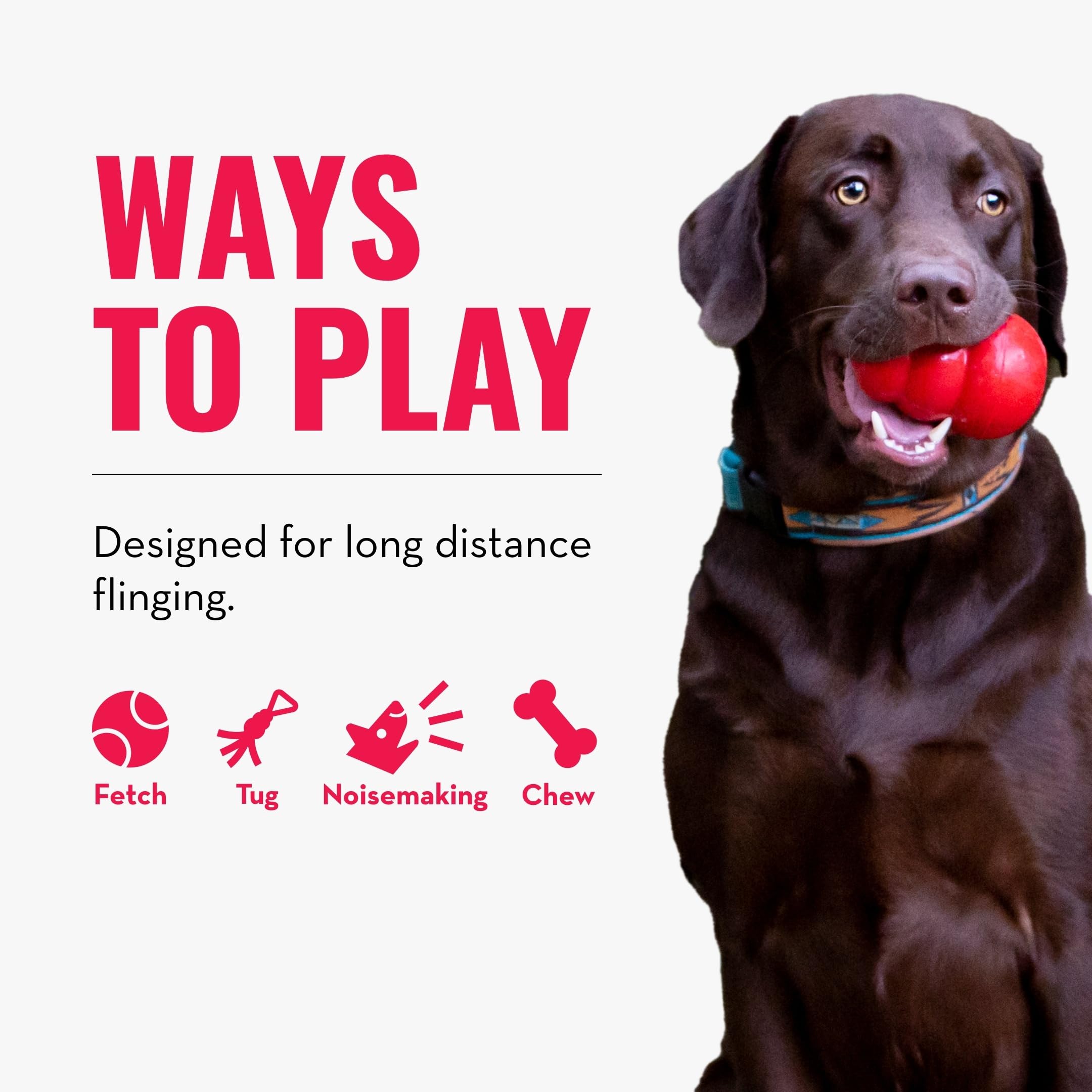 KONG Wubba Finz jouet interactif pour chien intérieur et extérieur.