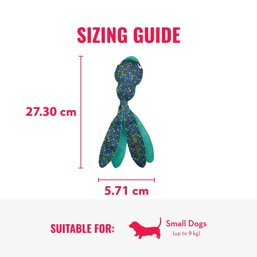 KONG Wubba Finz lancer-distance pour sessions de rapport en plein air.