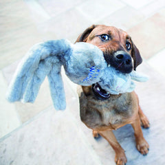 KONG Wubba Friend sifflement et secouage lors des jeux