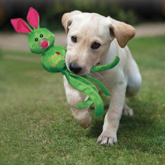 KONG Wubba Friends Ballistic, jouet-chien-couleurs-vives, stimule l’attention et le jeu.
