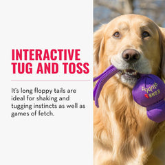 KONG Wubba jouet interactif-chien, stimule le jeu en solo et en duo.