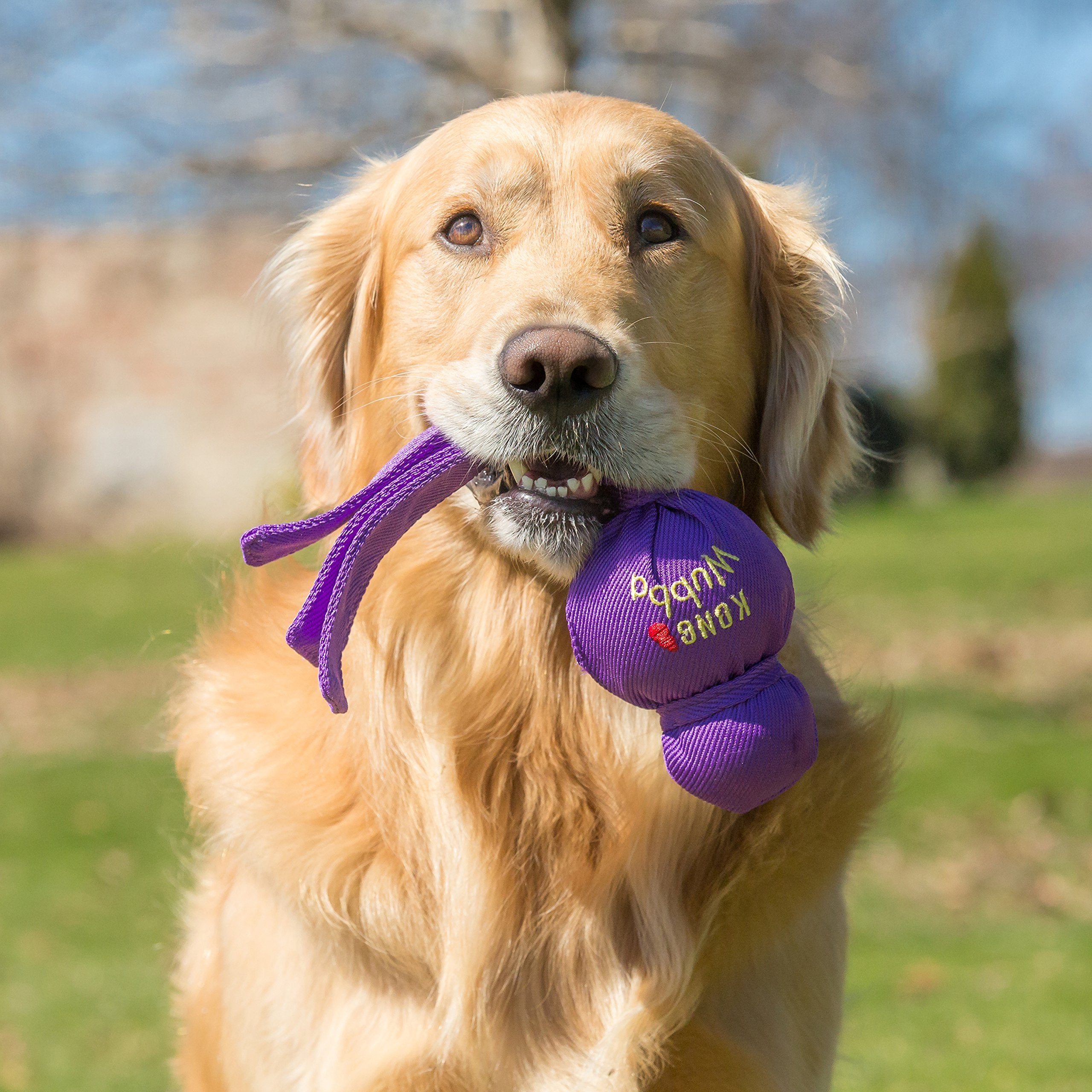 KONG Wubba: extérieur en nylon renforcé, durable pour sessions répétées.