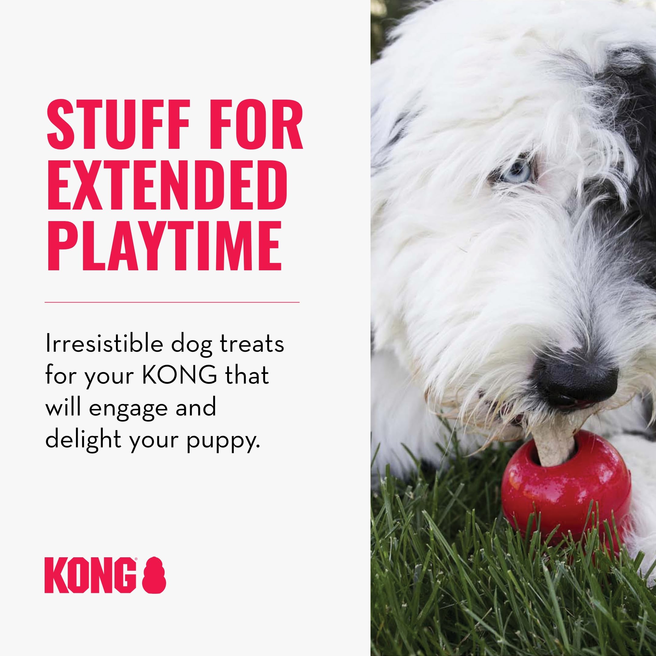 KONG Ziggies poulet, friandises digestibles et fraîches pour l’haleine.