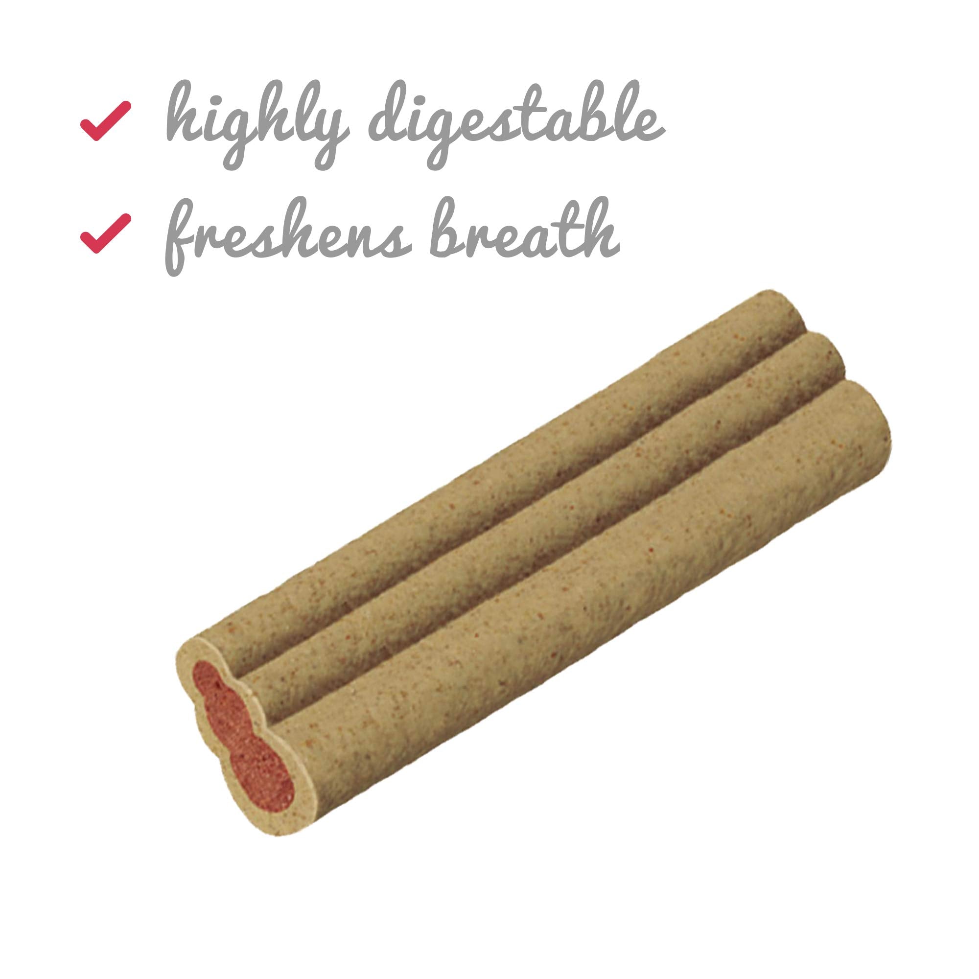 Ziggies Kong pour la santé dentaire et haleine fraîche
